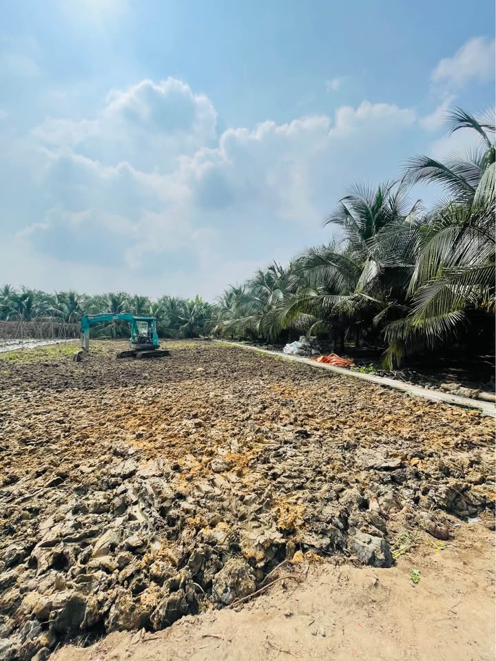 Đất thổ cư Ấp Bình Quới, Bình Ninh 175m² giá 300 triệu - Dân cư đông đúc, gần chợ!