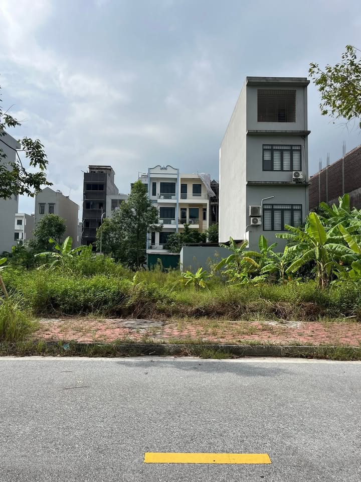 Đất nền khu đô thị Tân Phú Hưng Hải Dương 81.58m² - Lô góc 2 mặt tiền thoáng mát!