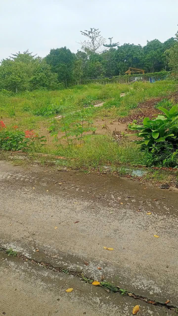 Đất nền 240m² tại Mỹ Khánh, Phong Điền - Cơ hội đầu tư hấp dẫn!