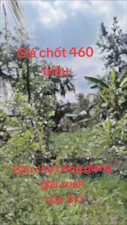 Đất nền Giai Xuân, Phong Điền 100m² giá 460 triệu - Đầu tư sinh lời ngay!