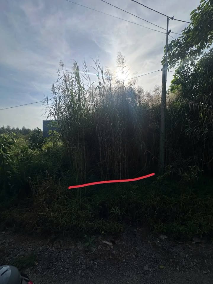 Đất thổ cư 92m² tại xã Tân Hưng, huyện Bình Tân, Vĩnh Long - Sổ đỏ chính chủ, giá thỏa thuận!