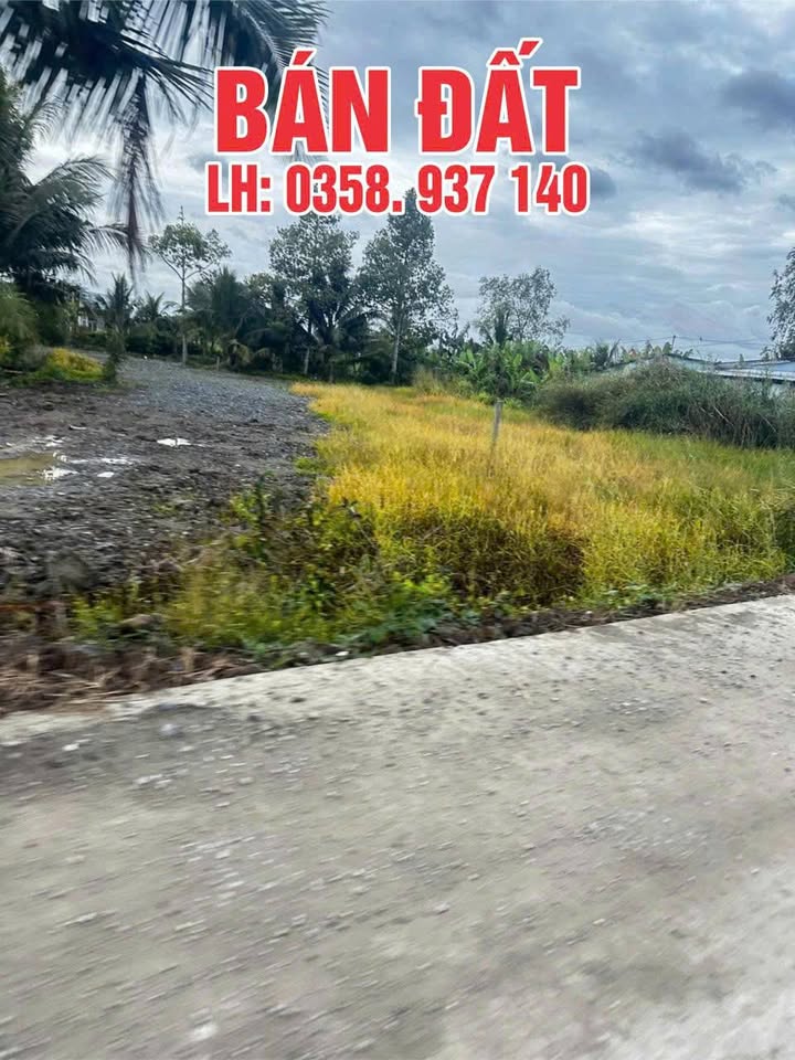 Đất nền mặt tiền Thạnh Trị 2400m² giá 2.04 tỷ - Vị trí đẹp, thuận tiện kinh doanh!