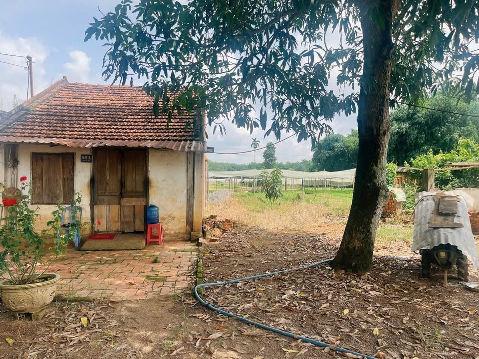 Đất Xào Phường Tân Thiện 2000m² giá 1.35 tỷ - Cơ hội đầu tư không thể bỏ lỡ!