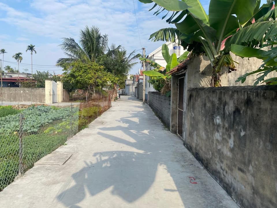 Đất nền Tiên Minh, Tiên Lãng 72m² giá 500 triệu - Đầu tư sinh lời ngay!