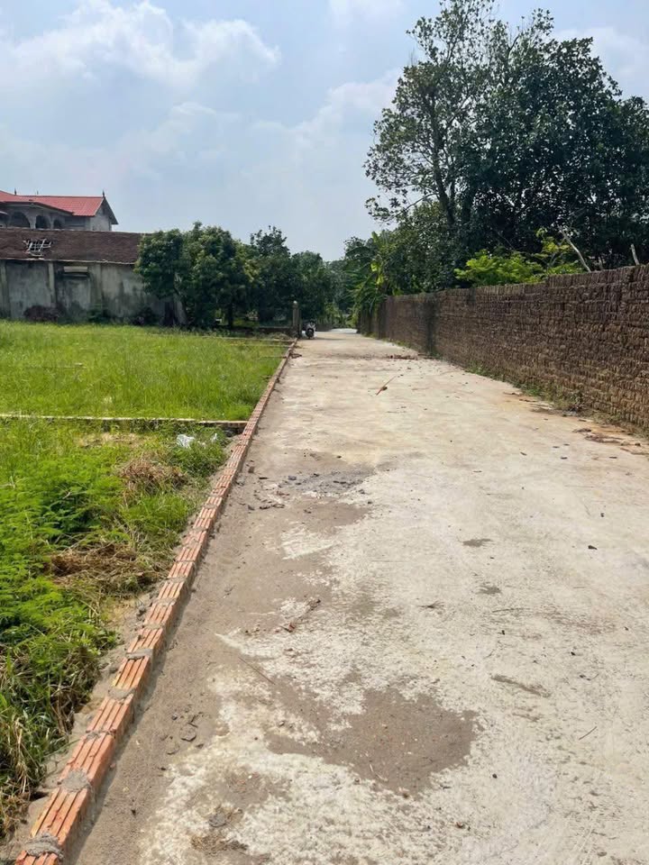 Đất nền Đoan Bái, Hiệp Hoà, Bắc Giang 130m² chỉ 500 triệu - Đường ô tô vào tận nơi!