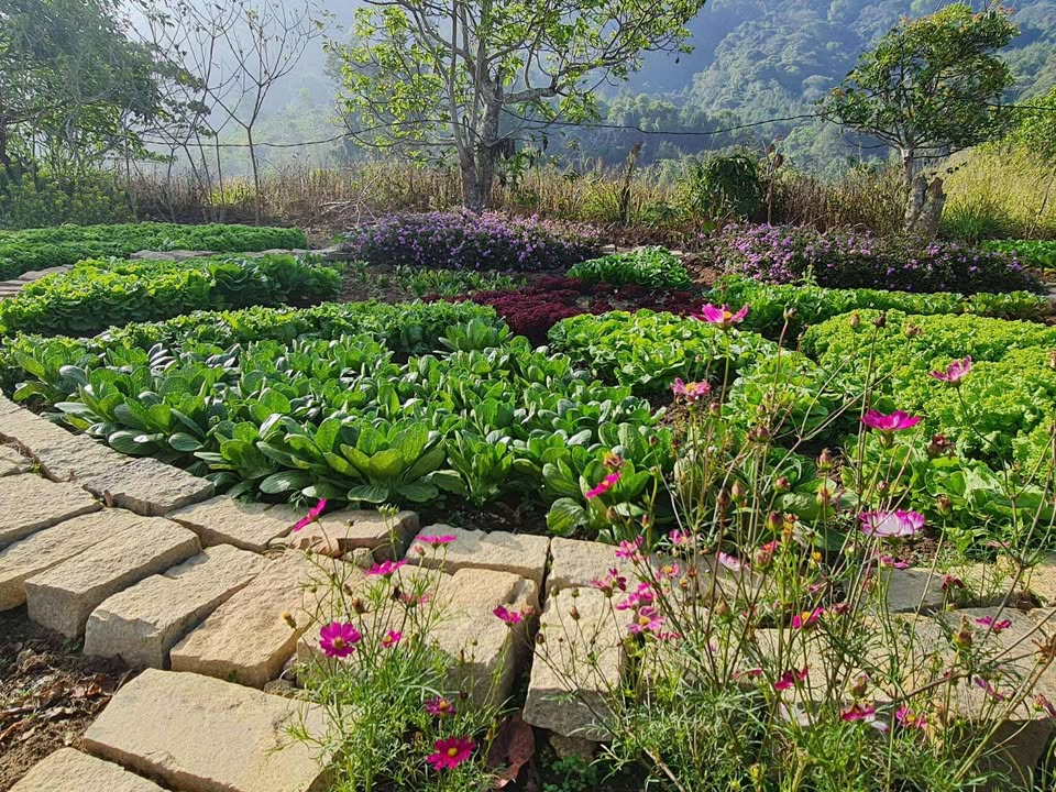 Bán đất homestay, camping 7000m² tại xã Pró, Đơn Dương - Tiềm năng đầu tư lớn!