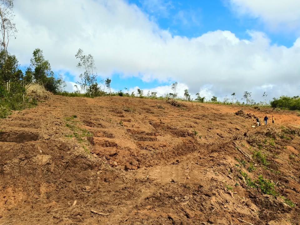 Đất nền 1,5ha xã Hra, Mang Yang, giá 1 tỷ - Đầu tư sinh lời ngay!