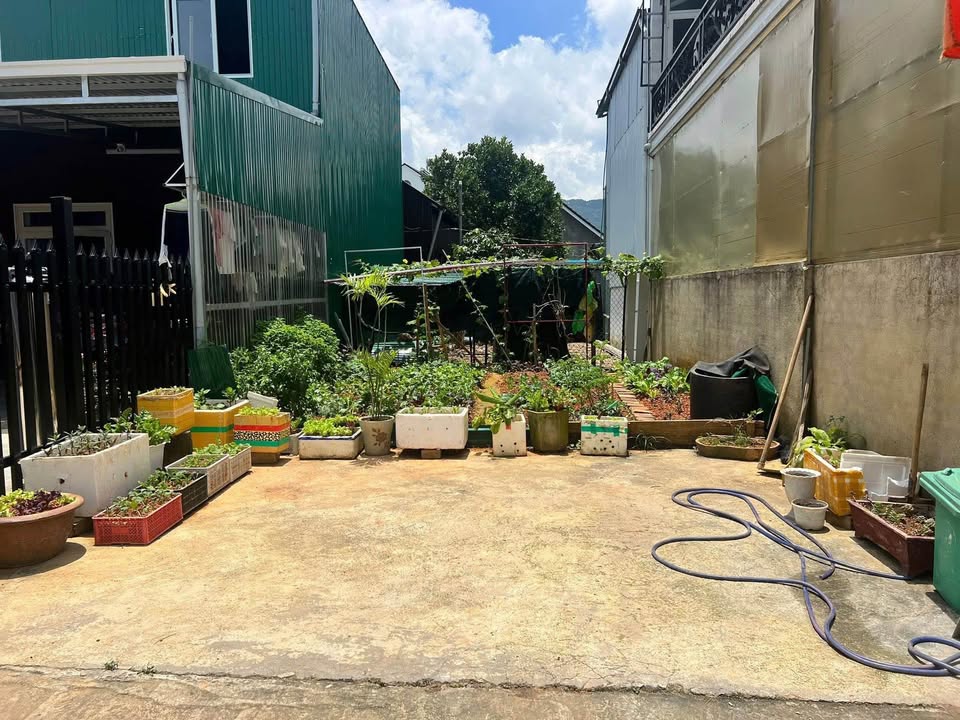 Đất sổ riêng phường Lang Biang Đà Lạt 94m² giá 2.39 tỷ - Đường ô tô bằng phẳng, dân cư đông đúc!
