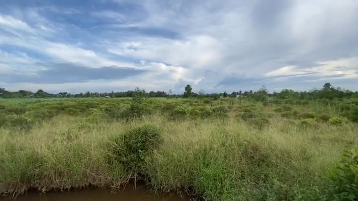 Đất vườn 4822m² Bình Đức, Bến Lức - Giá chỉ 7.8 tỷ, đầu tư sinh lời!