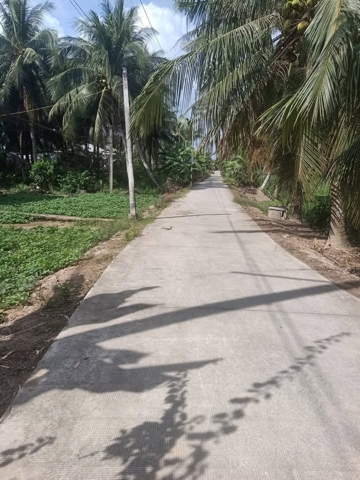 Đất vườn dừa Mỹ Hoà, Ba Tri 1700m² giá 370 triệu - Đầu tư sinh lời tốt!