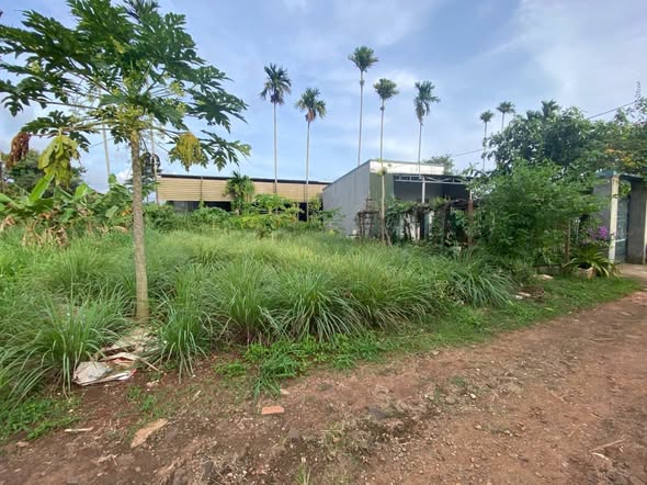 Đất nền hẻm Thế Lữ, Tân Lập 336m² giá chỉ 960 triệu - Cơ hội không thể bỏ lỡ!