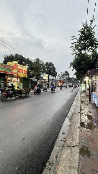 Nhà mặt tiền Tỉnh Lộ 10, quận Bình Tân, 80.5m² giá 7 tỷ - Giao dịch nhanh chóng!