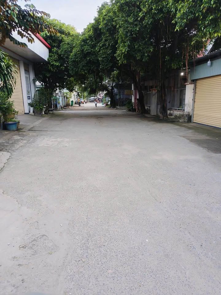 Đất thổ cư đường bê tông 8m tại Việt Kiều Mỹ Xuân 140m² - Giá chỉ 2 tỷ!