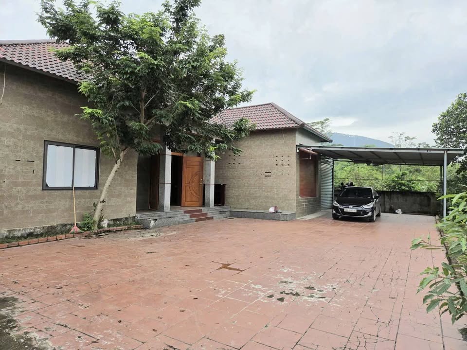 Đất thổ cư 1269m² tại Minh Quang, Tam Đảo - Cơ hội đầu tư tuyệt vời chỉ 5.076 tỷ!