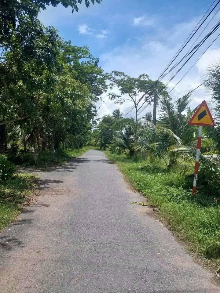 Đất vườn An Phước Châu Thành Bến Tre 4437m² giá 6.315 tỷ - Cơ hội đầu tư vàng!