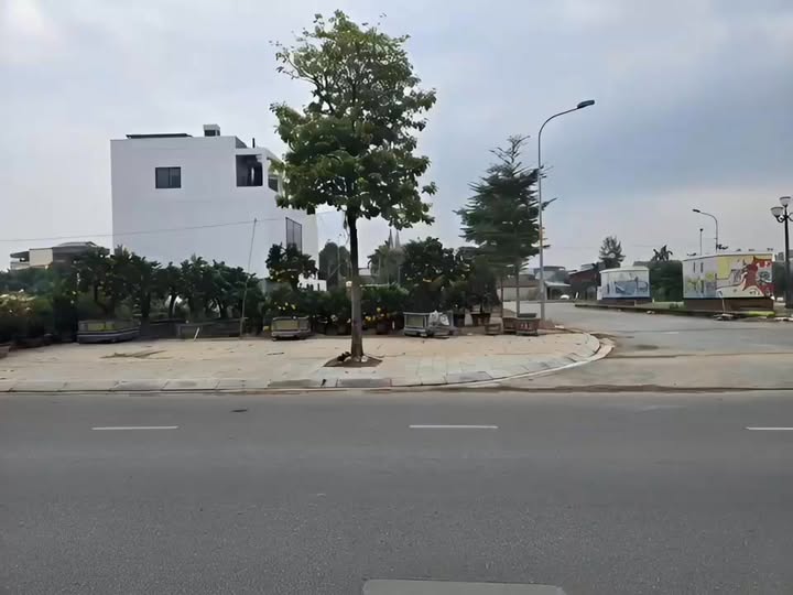 Đất Lô Góc Mặt Đường Trường Chinh TP Hải Dương 238m² - Địa điểm Vàng Đầu Tư!