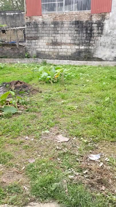 Bán lô đất Mai Xá, Thắng Lợi, Thường Tín 104m² - Vị trí đẹp, giá tốt!