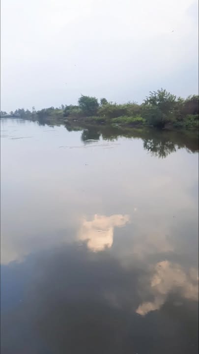 Đất nông nghiệp 200000m² tại ấp Kim Quy A, Kiên Giang - Giá chỉ 2 tỷ!