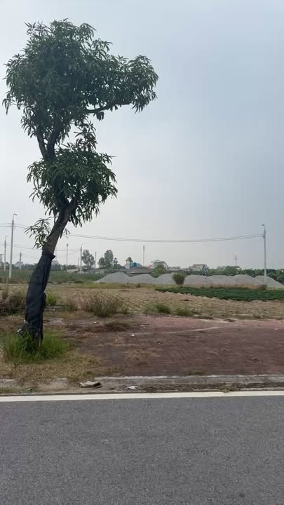 Đất nền Nguyên Hòa, Phù Cừ 300m² - Tiềm năng tăng giá mạnh!