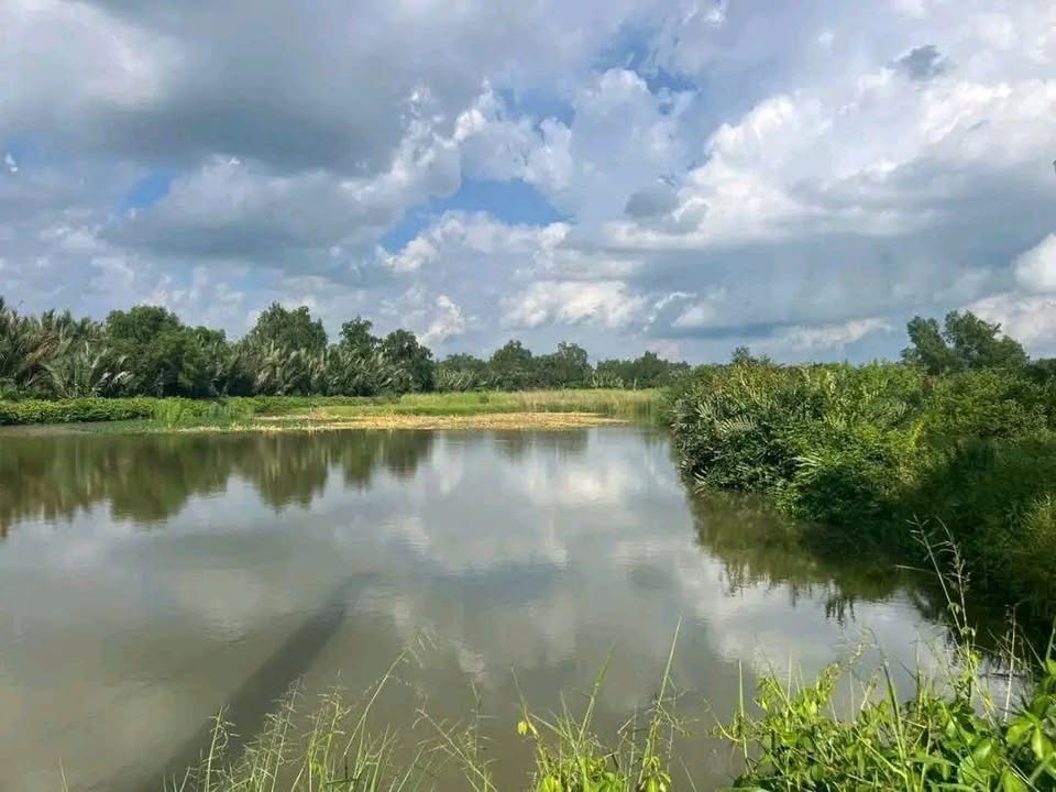 Đất nông nghiệp 124.000m² tại Vĩnh Phước, Vĩnh Châu - Giá 1.11 tỷ, tiềm năng đầu tư lớn!