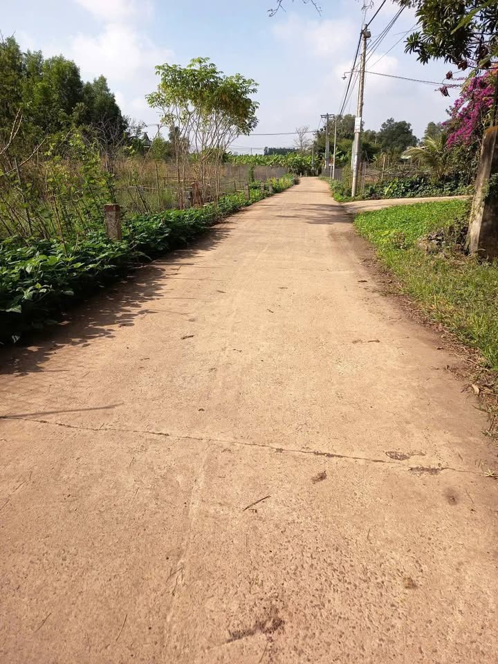 Đất nền Sông Trầu, Trảng Bom 1000m² giá 1.15 tỷ - Phong thủy tốt, sổ đỏ chính chủ!