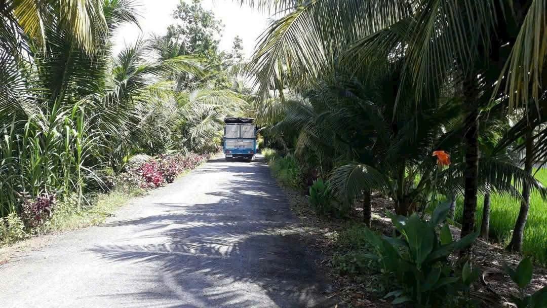 Đất Tân Phú, Trà Ôn 500m² giá 1.25 tỷ - Gần chợ và quốc lộ 1A!