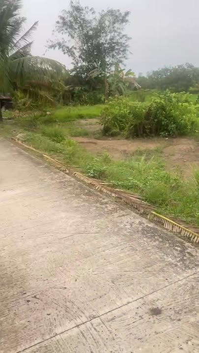 Đất nền Tân Hạnh Vĩnh Long 134m² - Vị trí đẹp, pháp lý hoàn chỉnh, giá tốt đầu năm