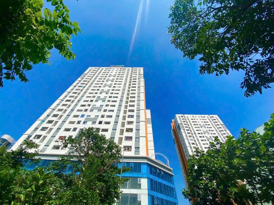 Chung cư C Lotus Apartment Dĩ An 36m² giá 1.3 tỷ - Đón Tết thật ấm cúng!