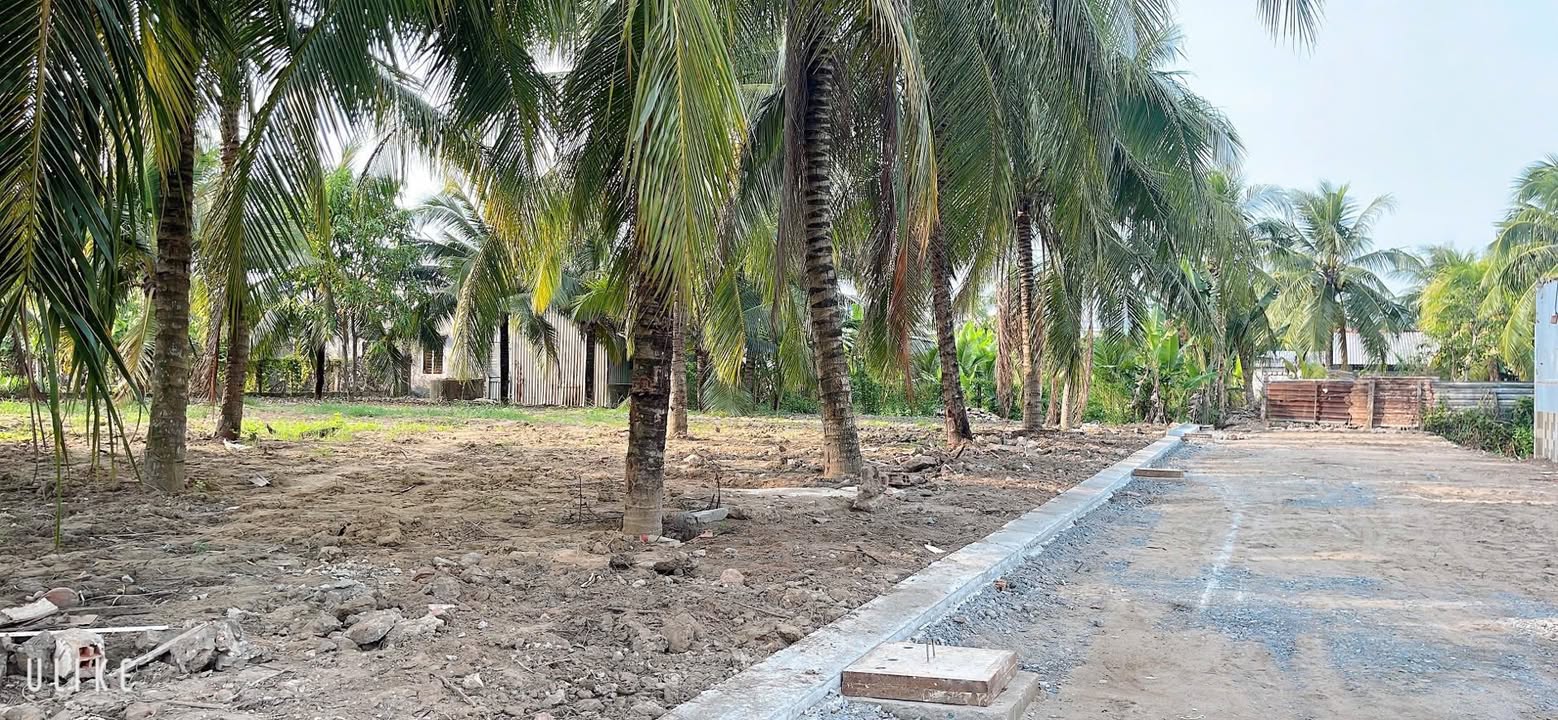 Đất nền mặt tiền đường 7m tại Châu Thành, Trà Vinh 135m² - Đầu tư sinh lời ngay!