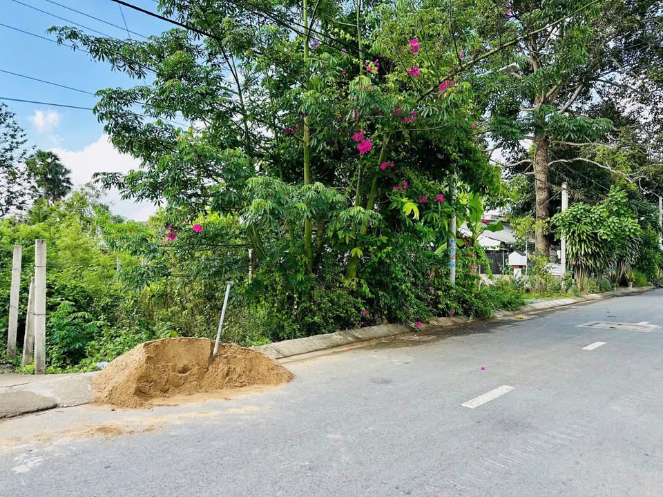 Đất Mặt Tiền Đường Huỳnh Văn Quỡn, Trà Vinh 215m² - Giá Chỉ 1.28 Tỷ, Thương Lượng Ngay!