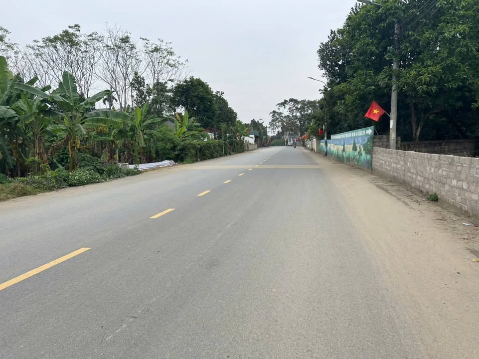 Đất nền kinh doanh 1345m² tại Ba Vì - Vị trí đắc địa và tiềm năng sinh lời!