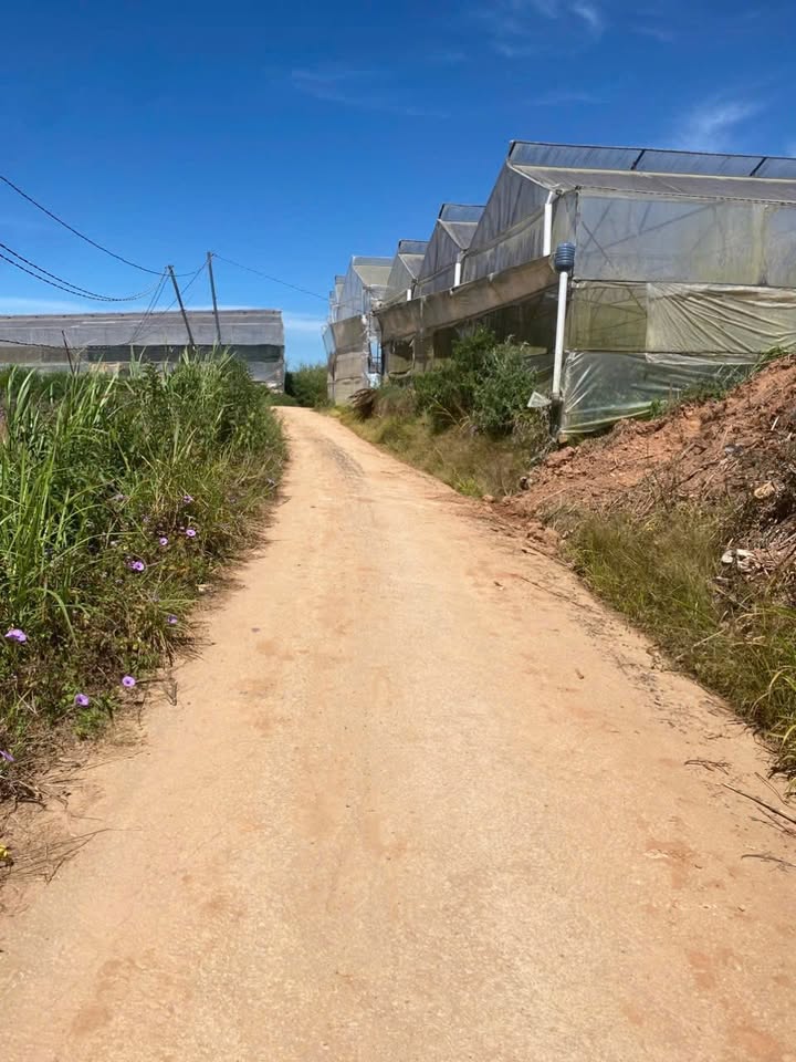 Đất thổ cư Đà Lạt 3900m² giá chỉ 4.9 triệu - Bán gấp, cơ hội đầu tư tuyệt vời!