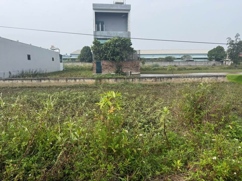 Đất giãn dân 160m² Quang Minh, Kiến Xương, Thái Bình - Sở hữu ngay chỉ 400 triệu!