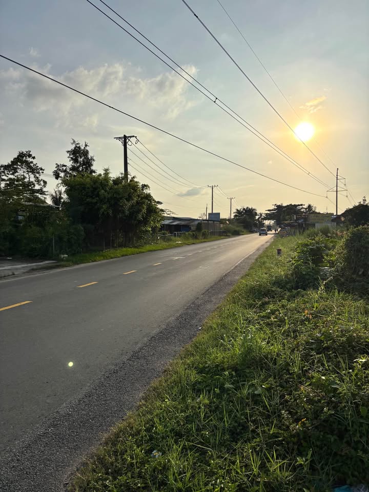 Đất nền ấp 6 xã Tân Thành Cà Mau 1806.3m² giá 4.1 tỷ - Cơ hội đầu tư hấp dẫn!