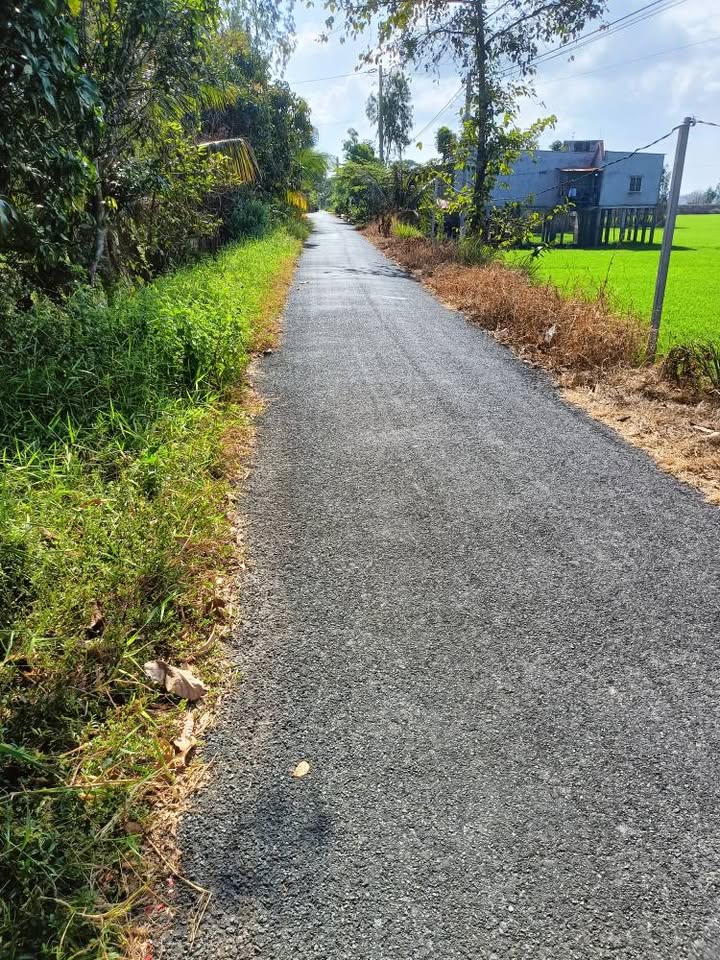 Đất nền mặt tiền sông Xã Thanh Bình 800m² giá 600 triệu - Đầu tư sinh lời ngay!