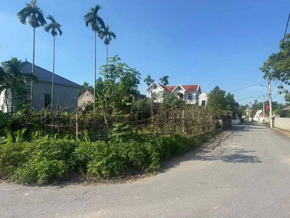 Đất nền Duy Tiên Hà Nam 74m² giá 1.8 tỷ - Nở hậu đẹp, giao thông thuận lợi!