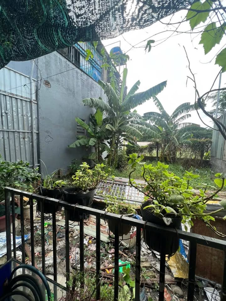 Đất 35m² ấp 6, Vĩnh Lộc B, 250 triệu - Đường hẻm bê tông rộng rãi!