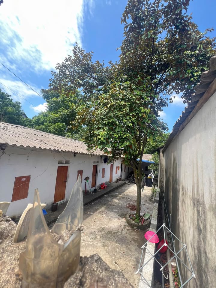 Đất nền Quyết Thắng 556m² giá 4.7 tỷ - Đầu tư sinh lời ngay lập tức!