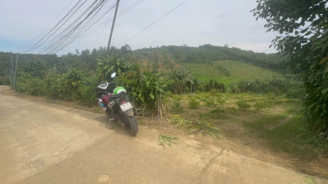 Đất vườn Bảo Lộc 1543m² giá 2.5 tỷ - Vị trí dân cư đông đúc!