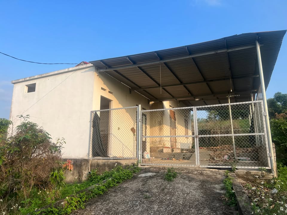 Farm Nam Dương Lục Ngạn 2,1 Mẫu giá 2,31 tỷ - Đầu tư sinh lời, vườn đẹp!