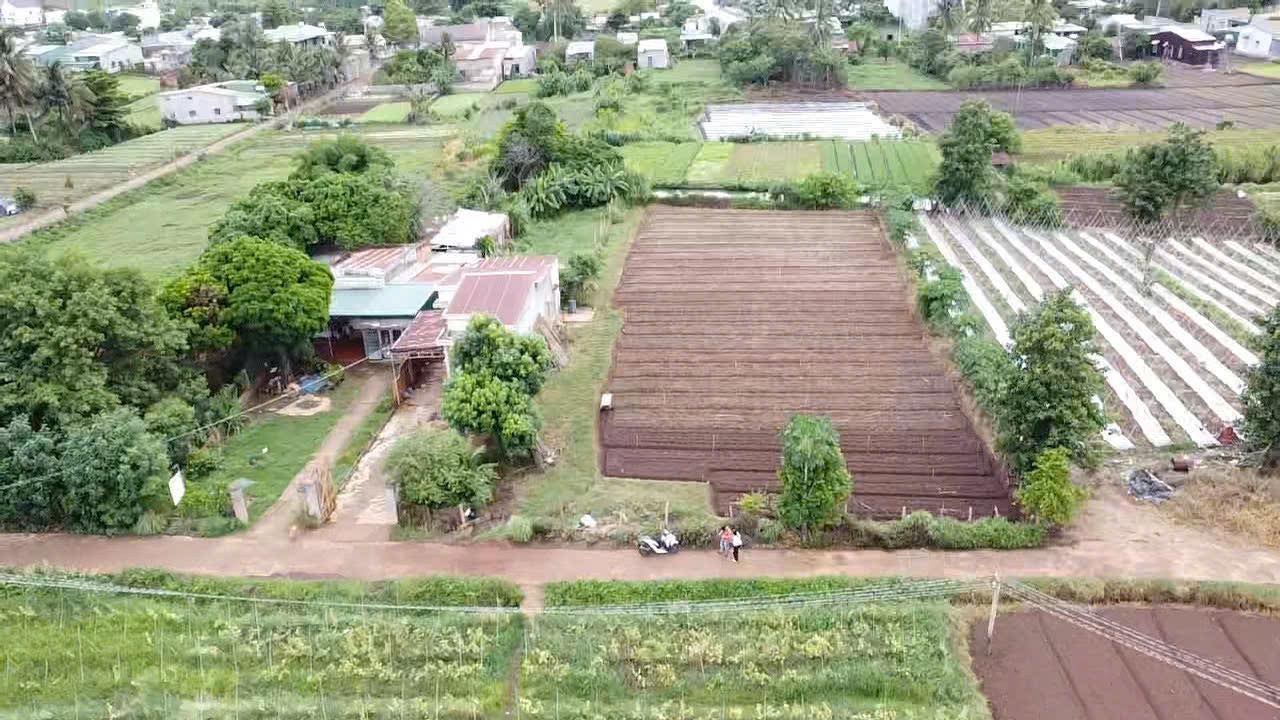 Đất thổ cư Hòa Phú 1500m² giá 1.8 tỷ - Phù hợp làm nhà vườn!