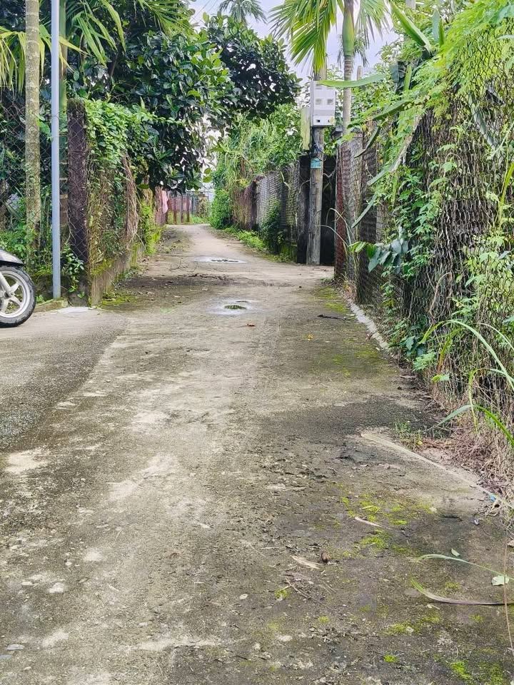 Đất nền Tịnh Hà, Sơn Tịnh 100m² giá 350 triệu - Cơ hội đầu tư tuyệt vời!