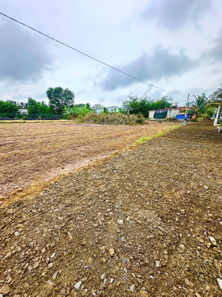 Đất thổ cư ấp Lộc Trung, Dương Minh Châu 140m² giá chỉ 390 triệu - Cơ hội đầu tư tuyệt vời!