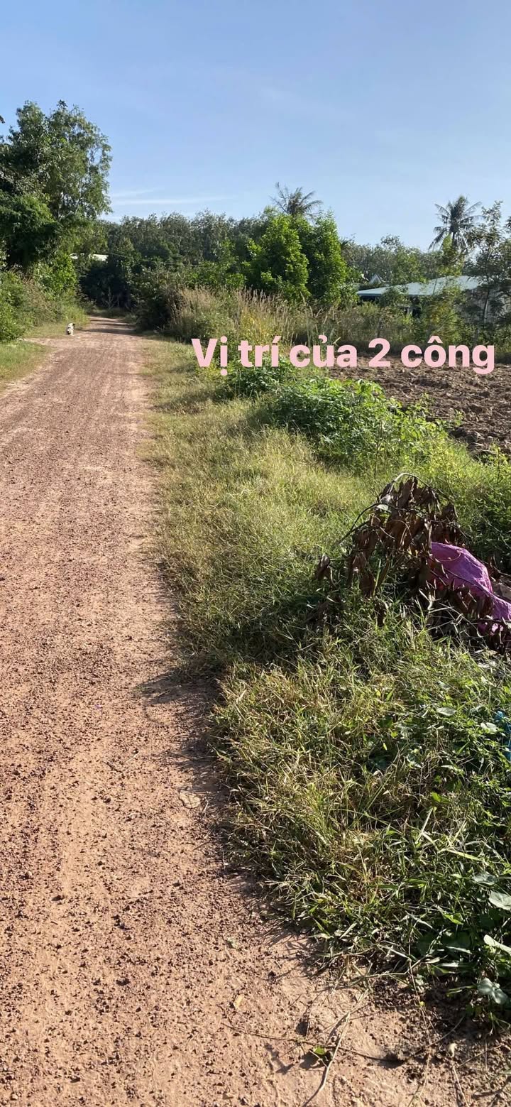 Đất nền 2 công xã Phước Vinh, Châu Thành, Tây Ninh - Giá chốt 280 triệu, mặt tiền 18m