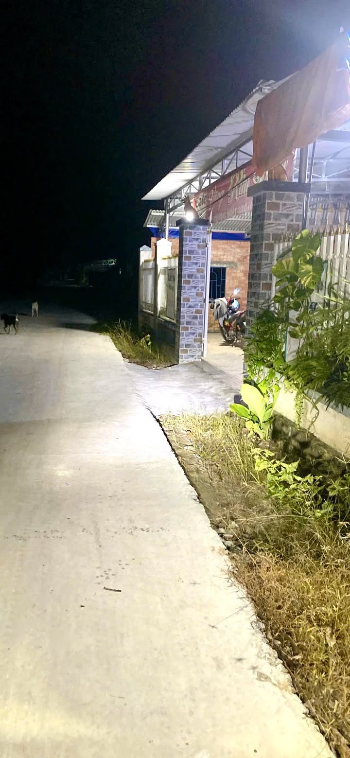 Nhà đất ấp Vịnh, xã An Cơ, 600m² chỉ 1.3 tỷ - Nhà xây kiên cố, cần bán gấp!