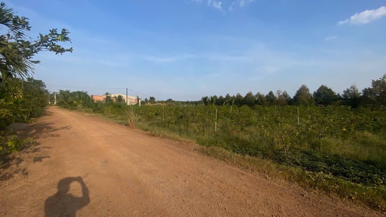 Đất nền Dương Minh Châu Tây Ninh 1439m² giá 500 triệu - Cơ hội đầu tư hấp dẫn!