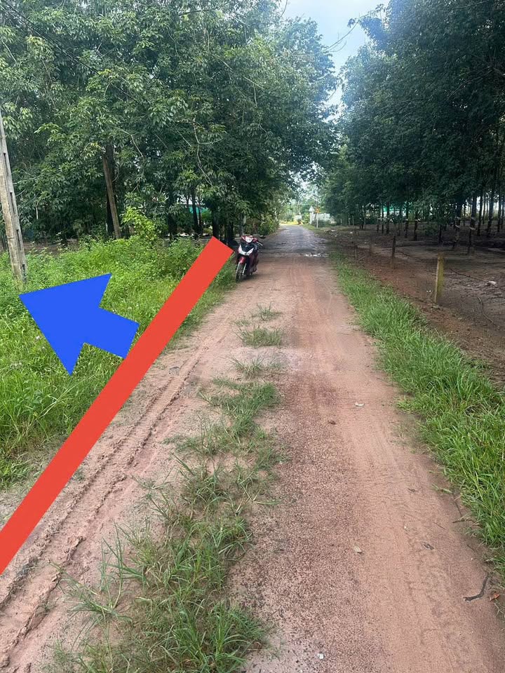 Đất nền khu dân cư Thạnh Bình, Tân Biên 17.000m² giá 1.4 tỷ - Cơ hội đầu tư hấp dẫn!