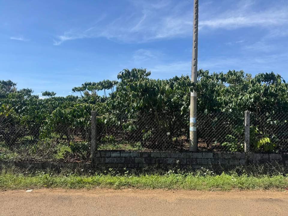 Đất nền Bảo Lộc 528m² giá 5.28 tỷ - Vị trí đẹp, giao thông thuận lợi!