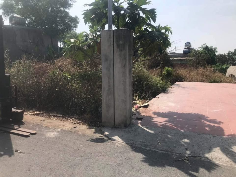 Đất nền 155m² tại Trảng Dài, Biên Hòa - Sổ riêng, giá chỉ 1.75 tỷ!