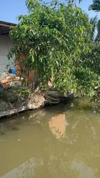 Đất thổ cư Hòa Khánh Buôn Ma Thuột 8000m² giá 2.1 tỷ - Chỉ cần thương lượng!